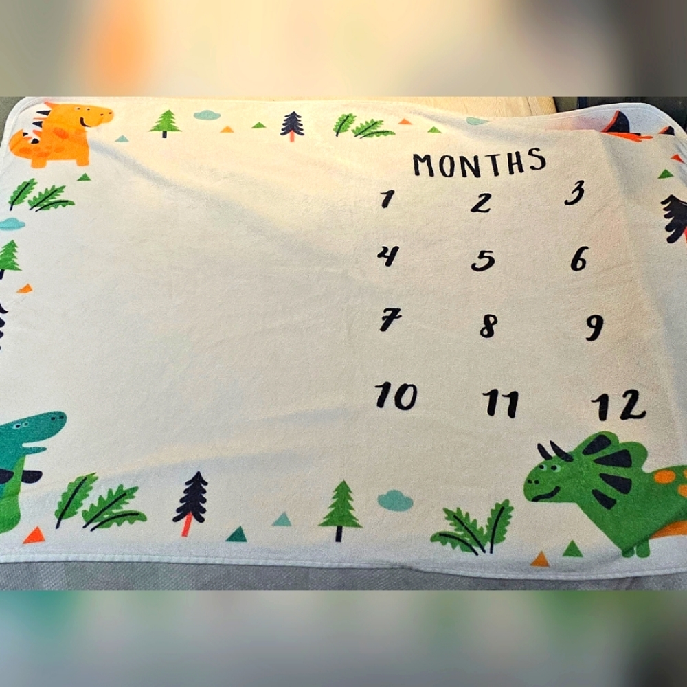 Milestone Baby Blanket Monthly